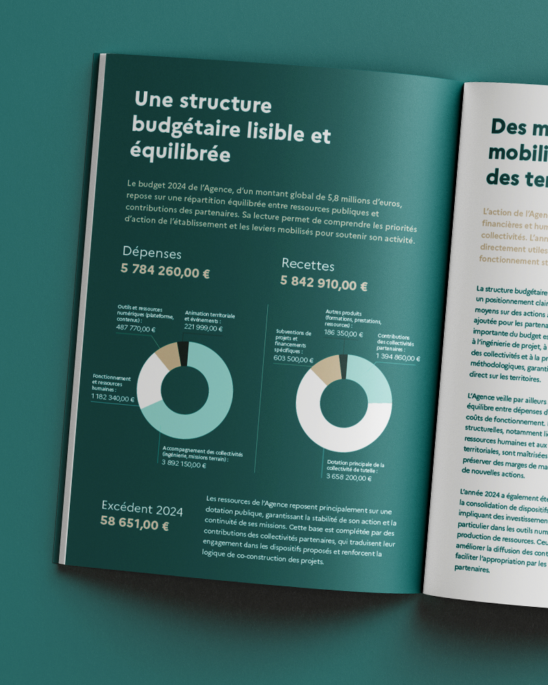 rapport d'activité institutionnel – infographie, mise en page