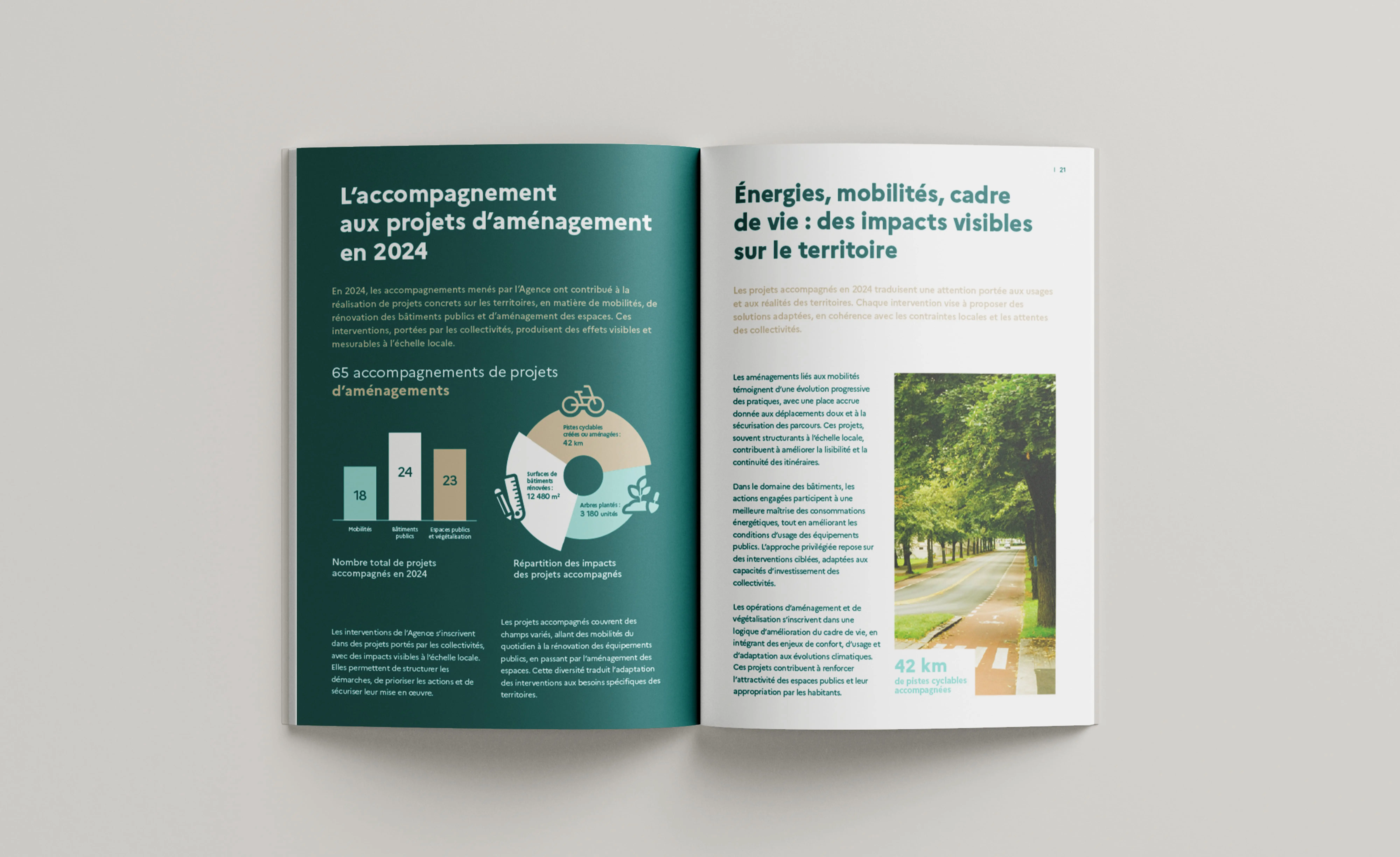 infographies rapport d'acitivité